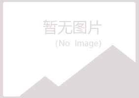 桃山区夏日邮政有限公司